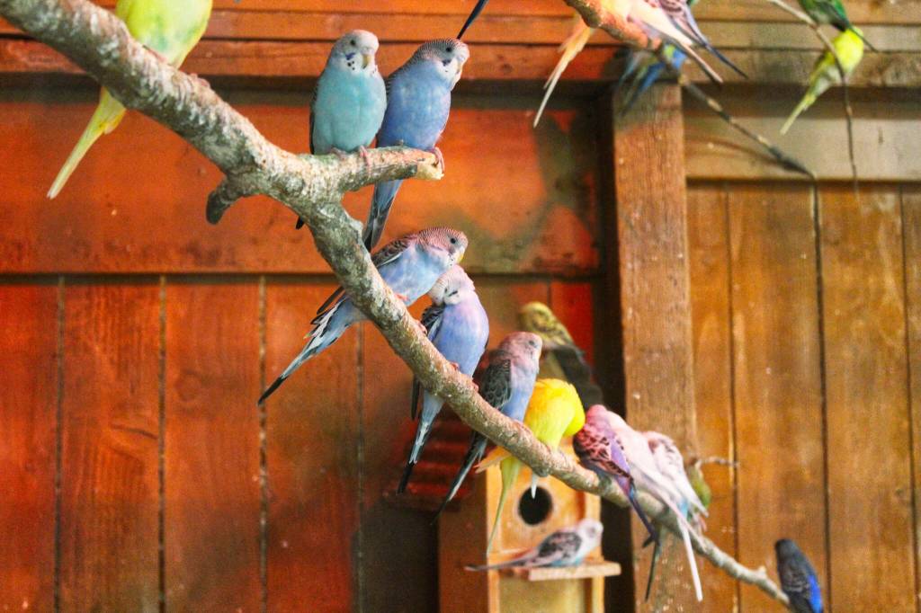 Photo by Ray Miller-Still