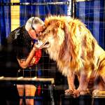 Photo courtesy Culpepper & Merriweather Circus 
Big cat trainer Trey Key with the three-year-old Wendell.