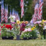 Photo by Dan DeVries