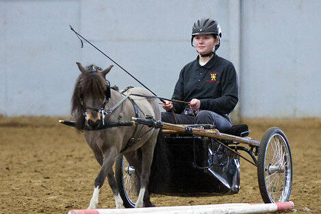 White Rivers Kaylin Vrieze advanced to the coming regional meet in driving. Photo courtesy Sierrabreeze Photography