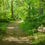 Nolte State Park's circular trail takes you around Deep Lake. Photo courtesy Washington State Parks