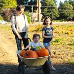 There are many fall-related activities on the Plateau; need pumpkins? Thomasson Family Farms is there. Need a scare? Maris Farms has you covered. And trick-or-Treating? Come to Enumclaw on Halloween to get your fill of candy. Photos by Ray Miller-Still