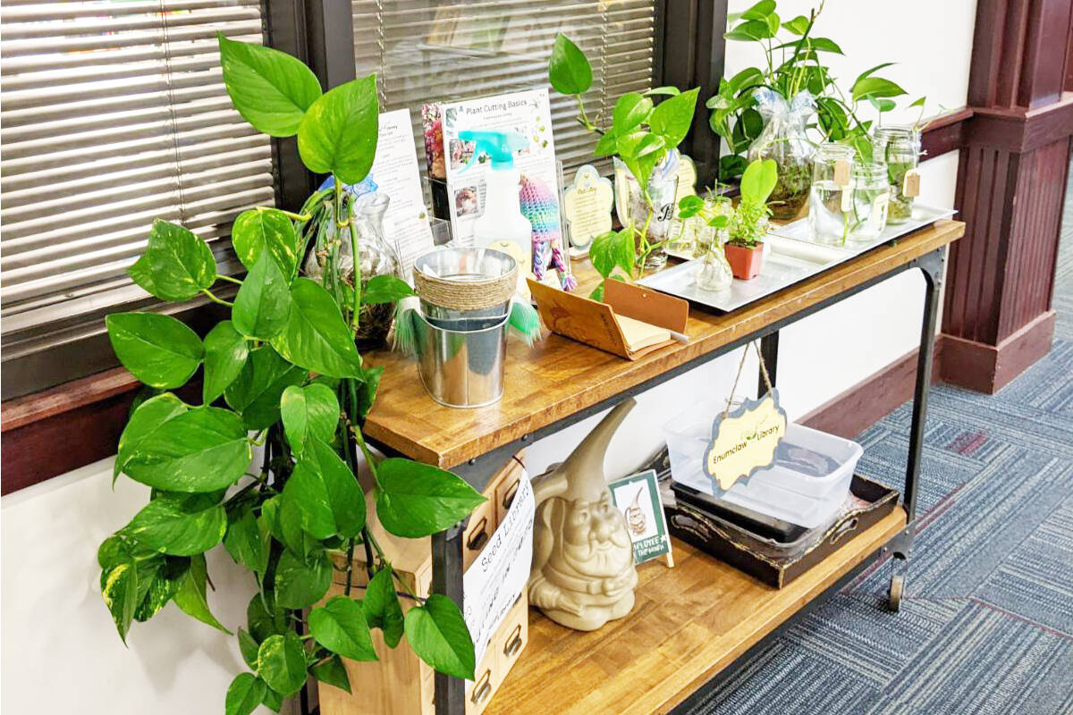 Courtesy photo
The Enumclaw library started a Little Green Library last August. Its grown into a Little Seed Library, which will be seasonal, but you can still donate and adopt plants year-round.