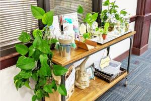 Courtesy photo
The Enumclaw library started a Little Green Library last August. Its grown into a Little Seed Library, which will be seasonal, but you can still donate and adopt plants year-round.