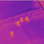 Three auto theft juvenile suspects attempted to hide from officers on a roof last August. However, the Enumclaw Police Departments thermal-imaging drones were able to spot them. Photo courtesy Enumclaw Police Department