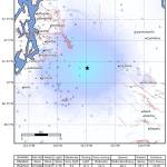 A shake map of the April 6 3.7 magnitude quake, showing it radiating out to even Federal Way and Cle Elum.
Image courtesy Pacific Northwest Seismic Network