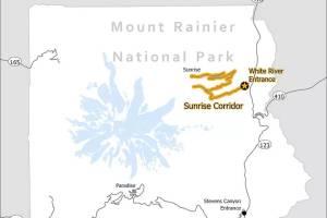 Image courtesy Mount Rainier National Park
This year, you only need reservations to visit the Sunrise/White River corridor of Mount Rainier National Park.