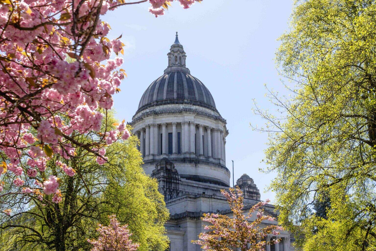 The state Capitol on April 18. (Photo by Jacquelyn Jimenez Romero/Washington State Standard)