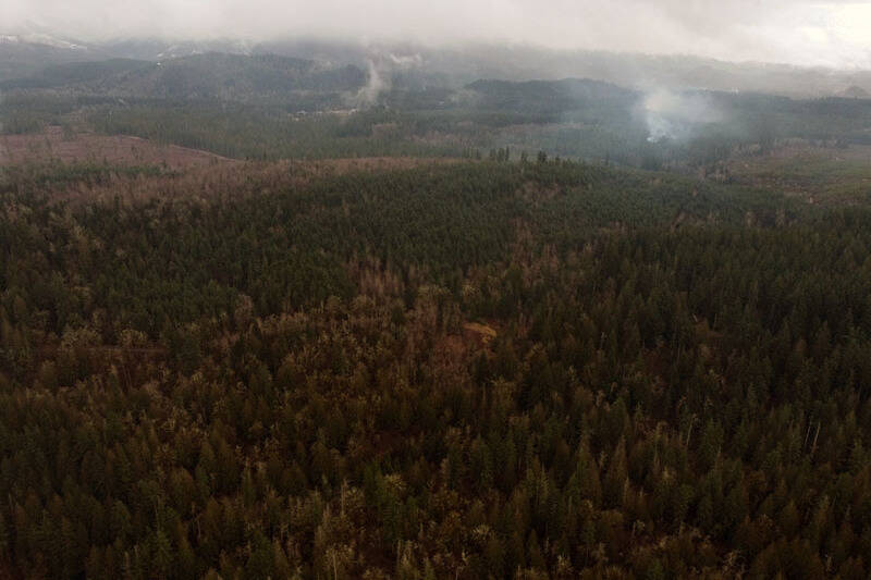 This is the piece of land in Cumberland that Segale Properties wants to turn into a gravel mine. Photo courtesy Enumclaw Plateau Community Association