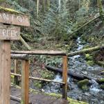 Dosewallips State Park, sitting along Hood Canal in Jefferson County. Photo by Kevin Hanson
