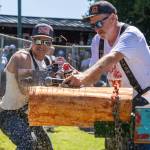 The 51st annual Log Show, Buckleys biggest event of the year, did not disappoint  the stands were crowded to the brim with fans to watch local loggers show off their speed, strength, and fortitude as they competed in 19 grueling events on two hot days. Pictured single bucking with Jeff Fetter is Jalen Johansen, who placed second this year. Photo by Ashley Britschgi / www.ashleyb.johnlscott.com