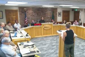 Sara Stratton presented news about the Rainier Foothills Wellness Center's student counseling program on June 23. Screenshot