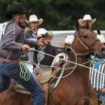 Riley Carel is an unusual rodeo competitor in that he doesnt run a farm or own a ranch. Instead, he works at Babbitt Insurance. Here he is at the Longview, WA Rodeo in late July. Photo by Elaine Kimball / Elaines Images
