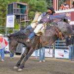 All photos by Vic Wright / vicwright.zenfolio.com