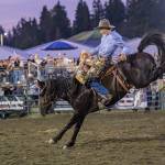 All photos by Vic Wright / vicwright.zenfolio.com