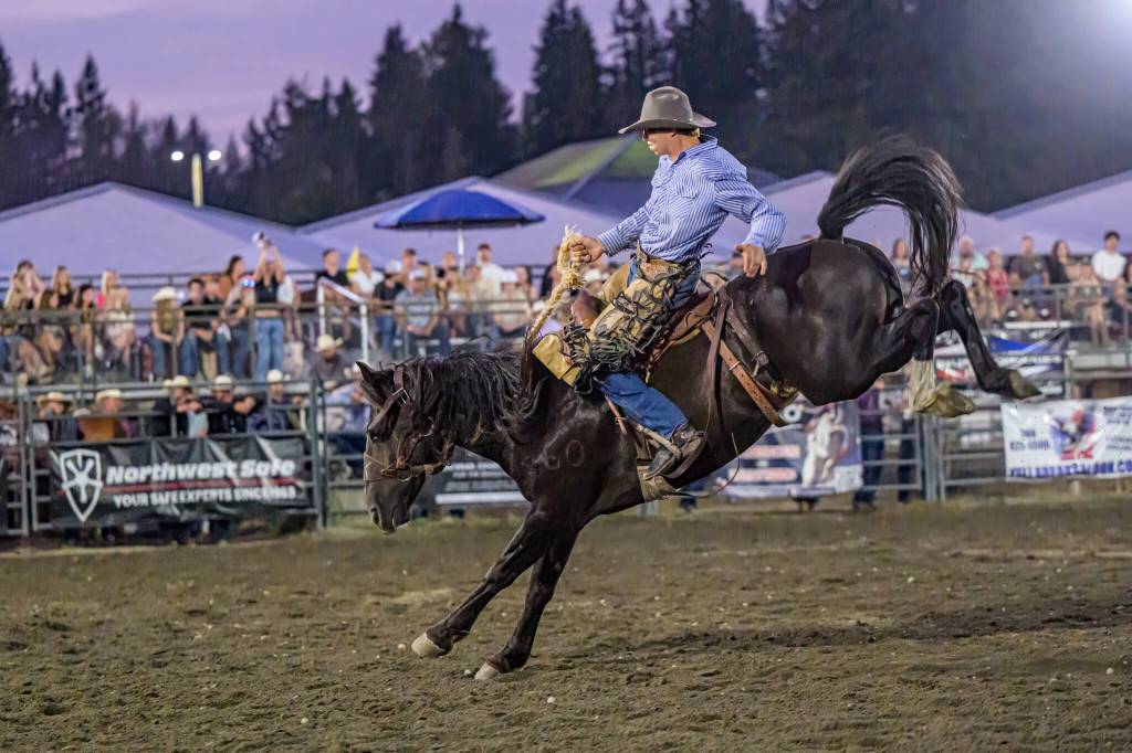 All photos by Vic Wright / vicwright.zenfolio.com