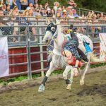 All photos by Vic Wright / vicwright.zenfolio.com