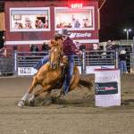 All photos by Vic Wright / vicwright.zenfolio.com