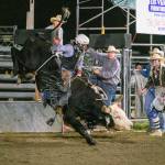 All photos by Vic Wright / vicwright.zenfolio.com