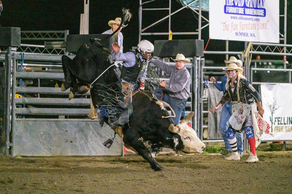 All photos by Vic Wright / vicwright.zenfolio.com