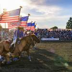 All photos by Vic Wright / vicwright.zenfolio.com