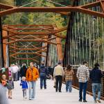 Photo courtesy King County
The Foothills Trail bridge went from a fun way to add recreation into the lives of Plateau residents into a lifeline, as hundreds, if not more, of people are using the bridge in some capacity to detour around the White River Bridge closure.