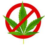 Image by artiom.photo/stock.adobe.com