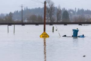 Floodwater from the Snohomish River partially covers a flood water sign on Thursday, Dec. 11, 2025 in Snohomish, Washington. (Sound Publishing photo)