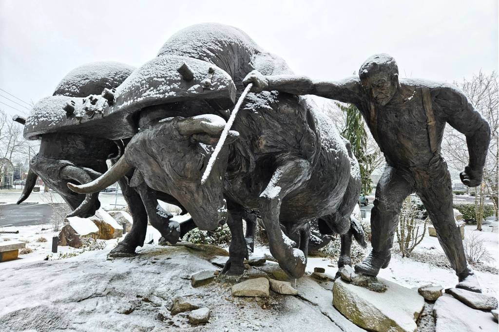 Photos by Ray Miller-Still
Enumclaw got a dusting of snow mid-February last year. Will the city see some this month?