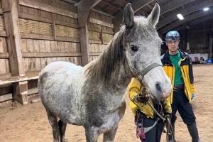 Willow was rescued by the Enumclaw Fire Department and the Washington State Animal Response Team after she fell into a hole under a partially-collapased bridge. Photo courtesy Washington State Animal rescue Team