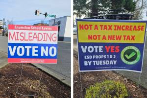 Signs urging voters to approve or reject the Enumclaw School Districts proposed renewal levies. Photos by Ray Miller-Still