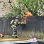 Photo by Ray Miller-Still