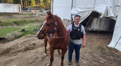 Reuben the horse was located by deputies on April 9, less than 24 hours after he was allegedly stolen. Photo courtesy KCSO